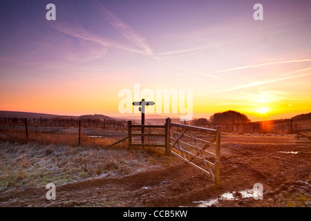 Un gelido inverno sunrise oltre la Ridgeway distanza lungo il percorso a Hackpen Hill, Wiltshire, Inghilterra, Regno Unito
