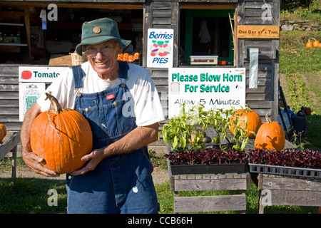 Eden Vermont farm stand zucche per la vendita Foto Stock