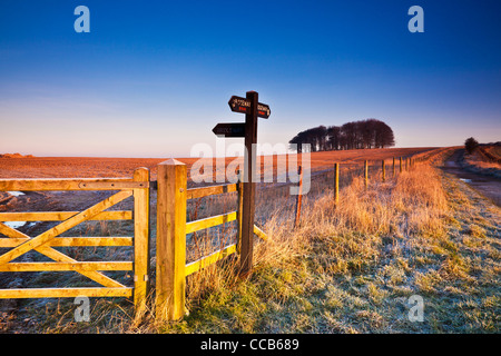 Un gelido inverno sunrise oltre la Ridgeway distanza lungo il percorso a Hackpen Hill, Wiltshire, Inghilterra, Regno Unito
