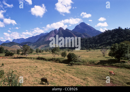 Serra dos Orgaos, Stato di Rio de Janeiro, Brasile. Terreni agricoli tipici in area di Mata Atlantica - Atlantic Rain Forest, con una certa foresta rimanente sulla pedemontana, pascolo del bestiame. Foto Stock