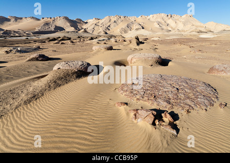 Bianco di intrusione di calcare sul bordo del campo yardang Dakhla Oasis Egitto Africa Foto Stock