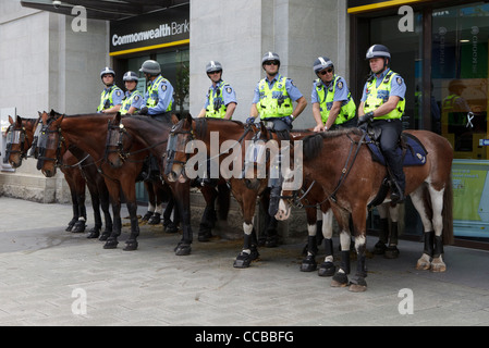 Polizia montata su cavalli. Western Australia forza di polizia. Foto Stock