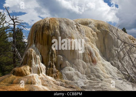 Angelo Terrace trovate in Mammoth Hot Springs, il Parco Nazionale di Yellowstone. Stati Uniti d'America Foto Stock