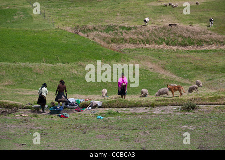 Tre Paesi Andini le donne indiane lavare i vestiti in un torrente alla vecchia maniera negli altipiani centrali del Ecuador. Foto Stock