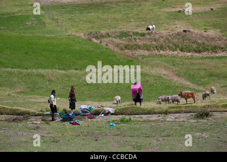 Tre Paesi Andini le donne indiane lavare i vestiti in un torrente alla vecchia maniera negli altipiani centrali del Ecuador. Foto Stock