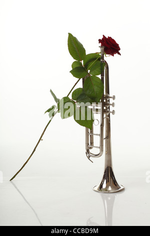 Red Rose e tromba amo la musica sullo sfondo bianco Foto Stock
