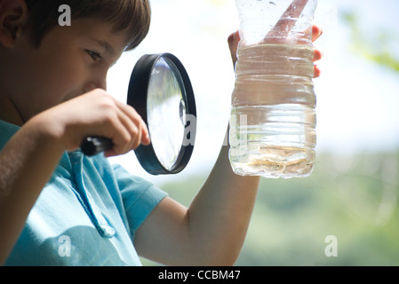 Ragazzo che guarda al pesce di acqua in bottiglia con lente di ingrandimento Foto Stock