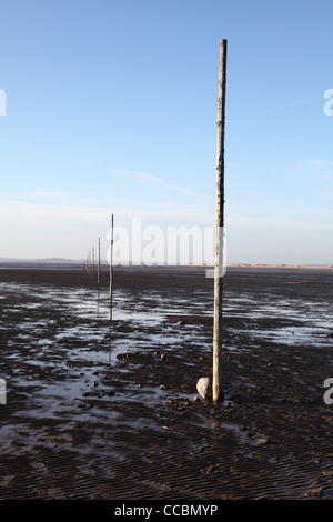 Il cammino del pellegrino una linea di poli che indica di sicuro attraversamento pedonale a Isola Santa, North East England Regno Unito Foto Stock