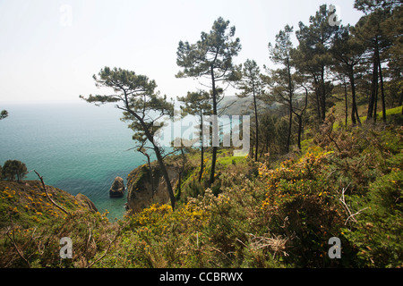 Anse Saint-Nicolas Crozon Penisola, FinistÅre, Bretagna Francia Foto Stock