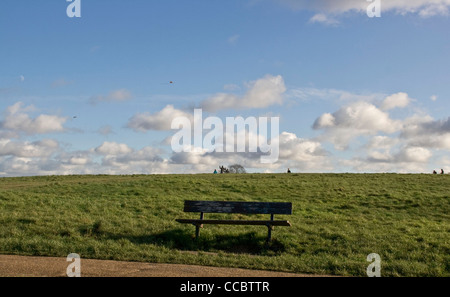 Aquiloni sulla sommità della collina del Parlamento Hampstead Heath Londra Inghilterra Europa Foto Stock