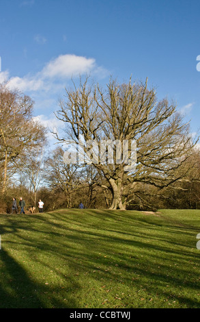 Le persone che si godono le attività per il tempo libero su un soleggiato inverni giorno Hampstead Heath Londra Inghilterra Europa Foto Stock