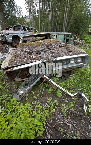 Il cimitero di auto. La speranza. L'Alaska. Stati Uniti d'America Foto Stock