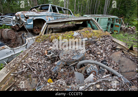 Il cimitero di auto. La speranza. L'Alaska. Stati Uniti d'America Foto Stock