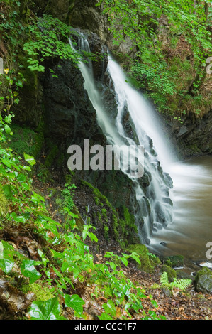 La cascata nel Fairy Glen, Rosemarkie, Scozia. Foto Stock