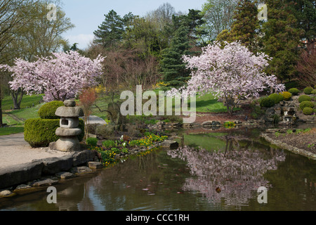 Giardino giapponese in Westfalenpark Dortmund Foto Stock