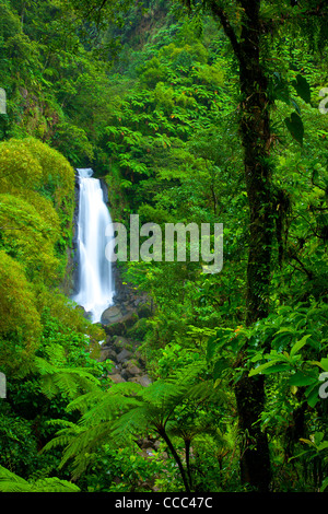 "Altri cade' - uno dei Twin Falls di Trafalgar rientra nel parco nazionale Morne Trois Pitons, Dominica, West Indies Foto Stock