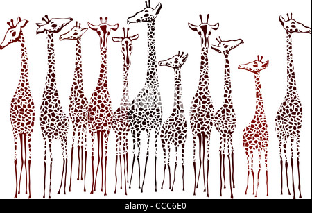 Illustrazione Vettoriale di giraffe isolate su sfondo bianco Foto Stock