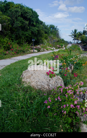 Percorso alla spiaggia a Cayo Las Brujas, Cuba Foto Stock