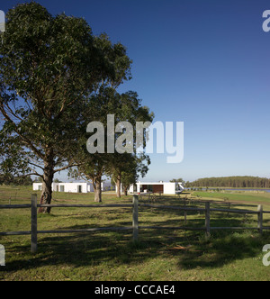 House 10/ Chacra 10, Kallosturin, Villalagos station wagon, Punta del Este, Uruguay, 2011, vista esterna da alberi di eucalipto Foto Stock