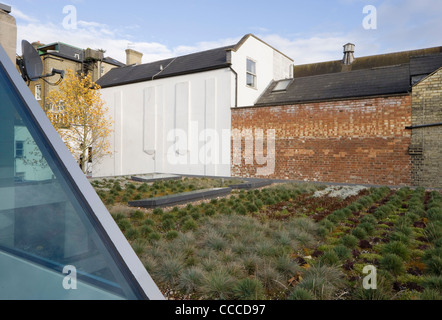 Hamstead Lane, Duggan Morris Architects, verde ro Foto Stock