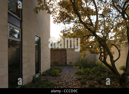 Hamstead Lane, Duggan Morris Architects Foto Stock