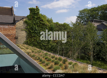 3a Hampstead Lane, Duggan Morris Architects, esterna, mostrando il tetto verde e tetto triangolare vetri Foto Stock