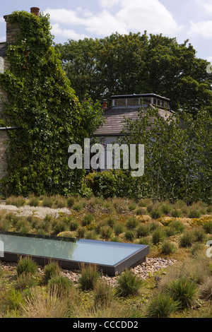 3a Hampstead Lane, Duggan Morris architetti, il tetto verde e luce del tetto Foto Stock