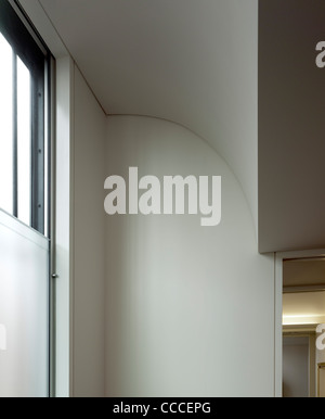 Glebe Residence, Tzannes Associates Architects, Sydney, 2009, soffitto a volta Foto Stock