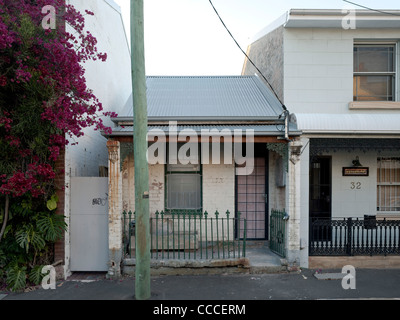 Glebe Residence, Tzannes Associates Architects, Sydney, 2009, strada posteriore entrata Foto Stock