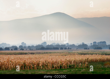 Le montagne in Macedonia, vicino a Mavrovo parco nazionale. Campi di mais in foregoround Foto Stock