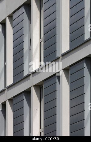 Murray edwards college (ex nuova hall) rh partnership cambridge 2006 dettaglio esterno fenestrazione canning eliza fok house Foto Stock