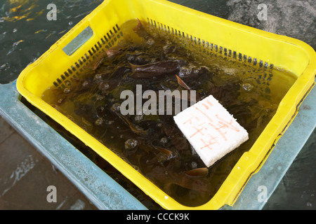 Cesto di pesce fresco venduto con il venditore marcatore flottante in Aberdeen all'ingrosso di pesce e frutti di mare mercato hong kong RAS di Hong kong cina asia Foto Stock