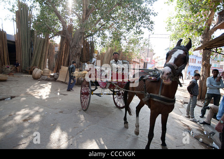 In Sardar Mercato di Jodhpur in Rajasthan, India. Foto Stock