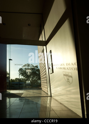 State-Of-The-Art scienza veterinaria Centro Clinico e Laboratori di Charles Sturt University. Foto Stock