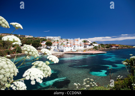 Cala d'oliva, l'isola dell'Asinara, Porto Torres, in Sardegna, Italia, Europa Foto Stock