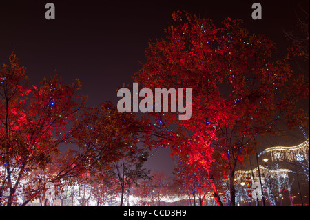 Pechino, Solana shopping center. Anno Nuovo Cinese decorazioni. Foto Stock