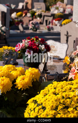 Crisantemo su una tomba in un cimitero di Ognissanti, Francia Foto Stock