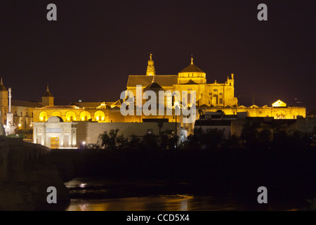 Una vista notturna di Córdoba, presa dal lato opposto del fiume Guadalquivir Foto Stock