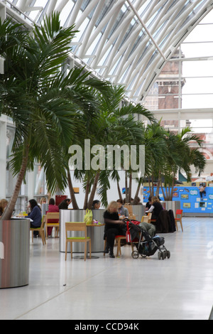 Evelina ospedale per bambini, Hopkins Architects di Londra, 2005, conservatorio cafe Foto Stock