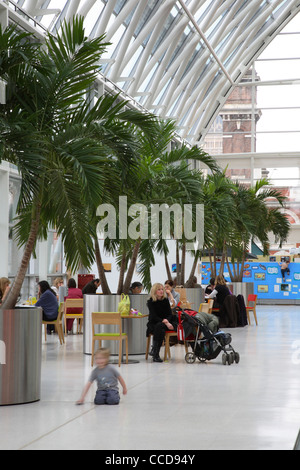 Evelina ospedale per bambini, Hopkins Architects di Londra, 2005, conservatorio cafe Foto Stock