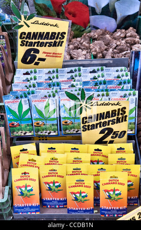 Kit per la coltivazione della cannabis in vendita nel mercato galleggiante dei fiori (Bloemenmarkt) ad Amsterdam, Paesi Bassi Foto Stock