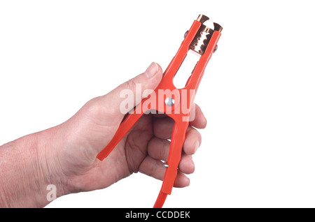 Cavi di avviamento - Giovanni Gollop Foto Stock