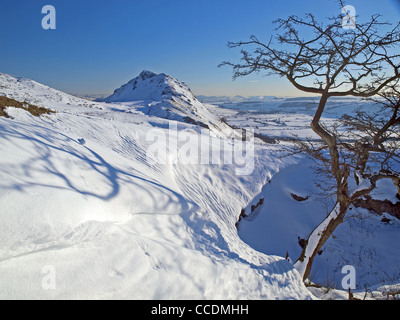 Chrome Hill in inverno, parco nazionale di Peak District, REGNO UNITO Foto Stock