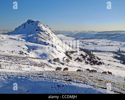Chrome Hill e la colomba superiore Valley in inverno, Parco Nazionale di Peak District Foto Stock