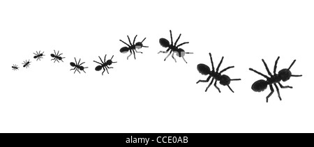 La linea di giocattoli le formiche Foto Stock