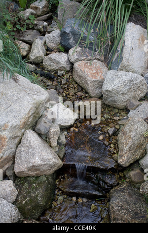 Una leggera corrente costituisce una piccola cascata come si snoda su roccia nel progetto Eden mediterranea del biome Foto Stock