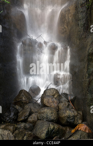 All'interno della foresta pluviale biome al progetto Eden vi cade questa cascata di oltre le rocce Foto Stock