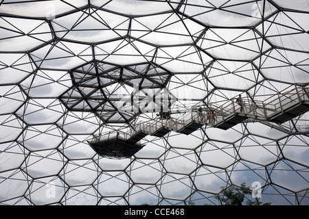 All'Eden Project in St Austell, Cornwall, la foresta pluviale biome ha un osservazione o lookout piattaforma sotto il tetto di vetro Foto Stock