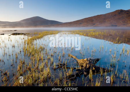 Loch Droma in inizio di mattina di luce, Ross-shire, Scozia. Foto Stock