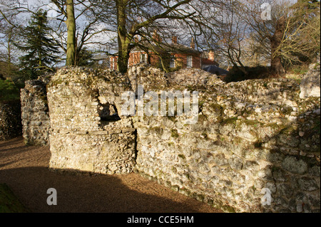 Rovine di North Elmham Cappella normanna, Norfolk, Inghilterra Foto Stock